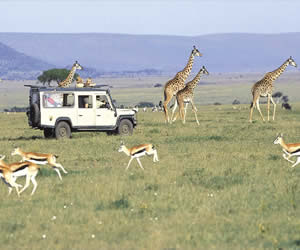 Tourism in Kenya